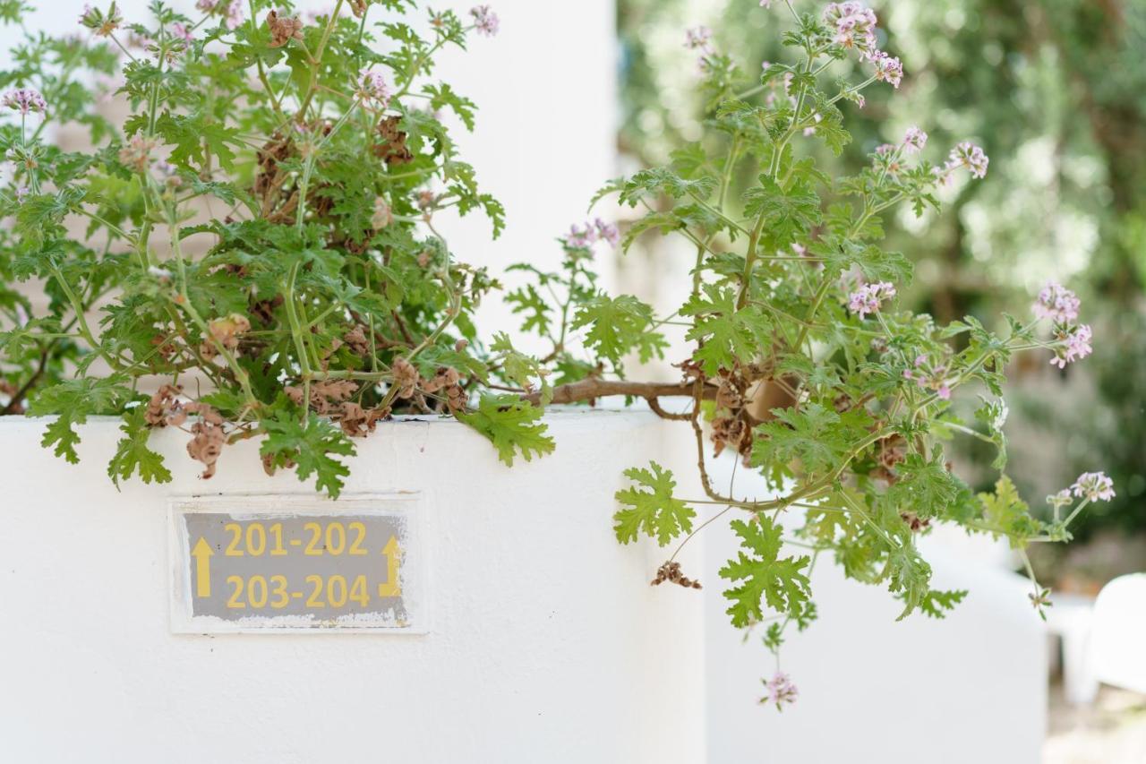Costa Sariyaz Hotel Bodrum Eksteriør bilde